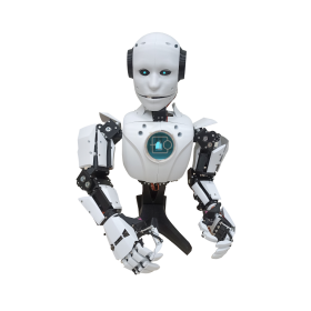 Yarım Gövde Bionic Robot